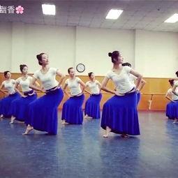 傣族成人入门群舞视频