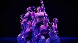 傣族成人入门群舞视频