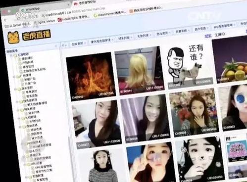 成人的世界视频直播,揭秘现实生活百态