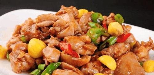 成人爱吃的菜谱大全视频,精选成人菜谱大全视频攻略