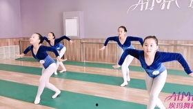 成人韵律踏板舞视频大全,成人韵律踏板舞视频大全赏析