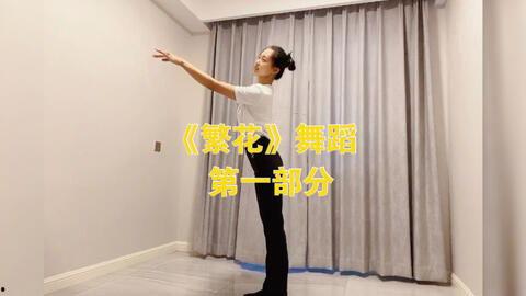 成人韵律踏板舞视频大全,成人韵律踏板舞视频大全赏析