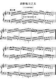 成人钢琴训练视频,跟随专业视频，轻松开启音乐之旅