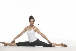 成人练劈叉最快方法视频,跟随视频轻松解锁身体极限