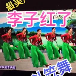 斗笠舞蹈 成人舞蹈视频,成人舞蹈视频中的传统与现代交融