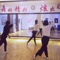 高青成人古典舞视频,传承国韵,舞动人生